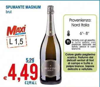 MD Discount Brut Spumante Magnum 1,5L offerta