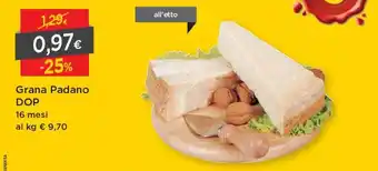 DPiù Garna Padano DOP offerta