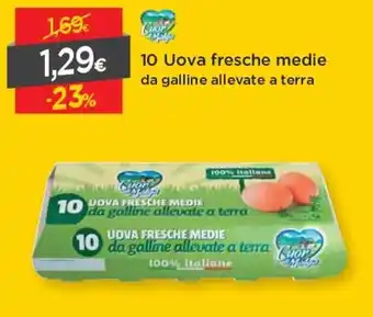 DPiù 10 Uova Fresche Medie Da Galline Allevate A Terra offerta