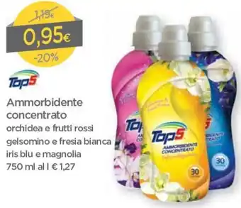 Top 5 Ammorbidente Concentrato 750ml
