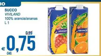 MD Discount Succo Viviland L1 offerta