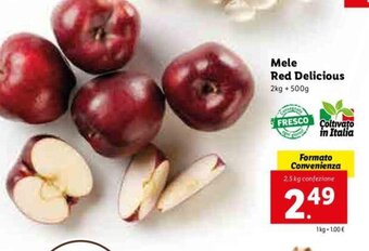 Lidl Mele Red Delicious offerta