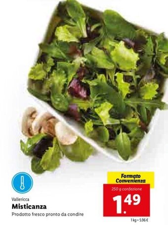 Lidl Misticanza offerta