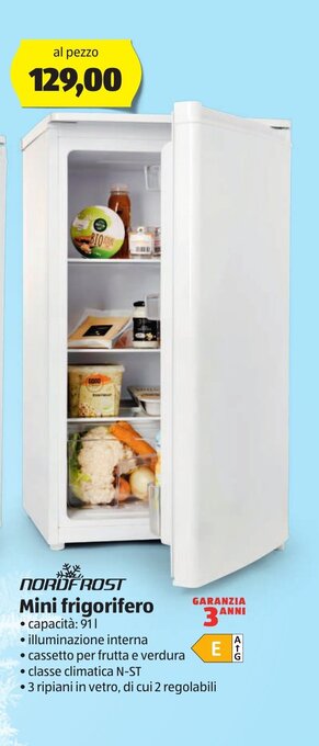 ALDI Nordfrost Mini frigorifero offerta