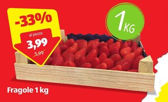 ALDI Fragole 1 kg offerta