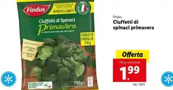 Lidl Findus Ciuffetti di spinaci primavera 750g offerta