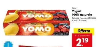 Lidl Yomo Yogurt 100% naturale 8 x 125g offerta