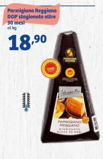 In'S Mercato Parmigiano Reggiano DOP Stagionato oltre 30 Mesi offerta