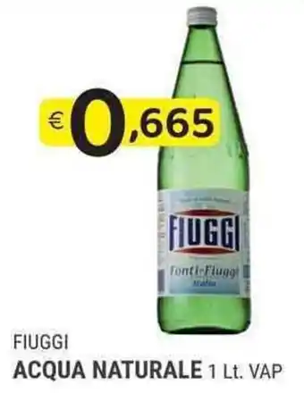 Fiuggi Acqua Naturale 1Lt.
