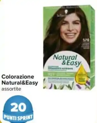 Carrefour Colorazione Natural & Easy offerta