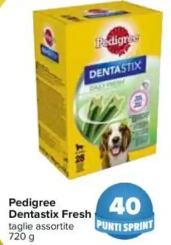 Carrefour Pedigree Dentastix Fresh 720 g offerta