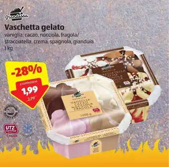 ALDI Grandessa Vaschetta gelato 1kg offerta