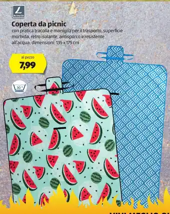 ALDI My Living Style Coperta da picnic 135 x 175cm offerta