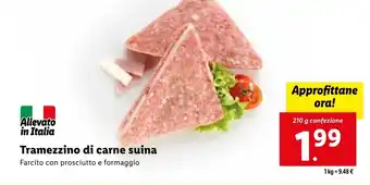 Lidl Tramezzino di carne suina 210g offerta