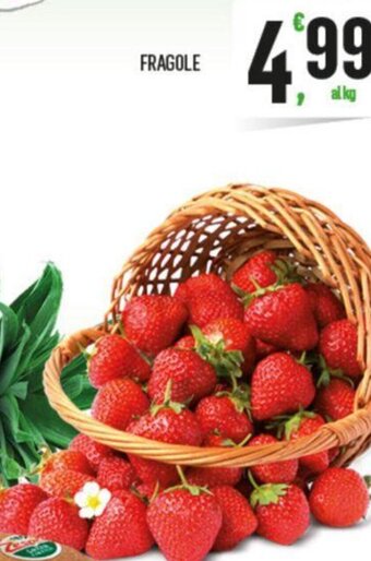Fragole