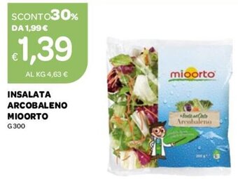 Mioorto Insalata Arcobaleno G 300