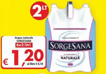 Alter Discount Sorgesana Acqua naturale 6x2 litri offerta