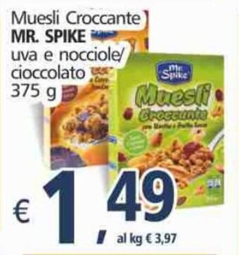 Alter Discount Mr. Spike Muesli Croccante uva e nocciole/cioccolato 375g offerta