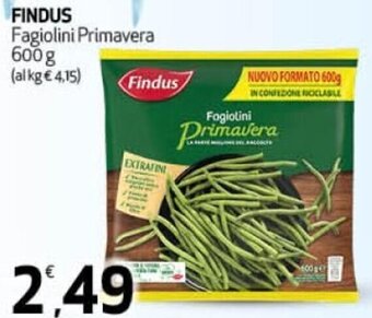 Ipercoop Findus Fagiolini Primavera 600 g offerta