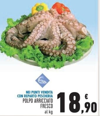 Conad Superstore Polpo Arricciato Fresco offerta