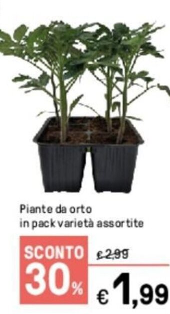 Piante da orto in pack varietà assortite