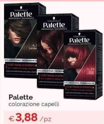 Palette colorazione capelli