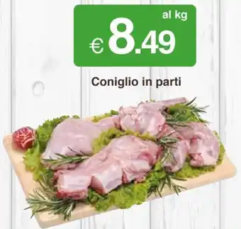 Coniglio in parti