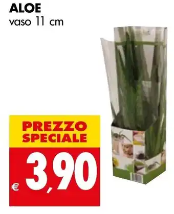 Aloe Vaso 11cm