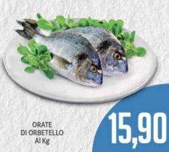 Supermercati Piccolo Orate di Orbetello offerta