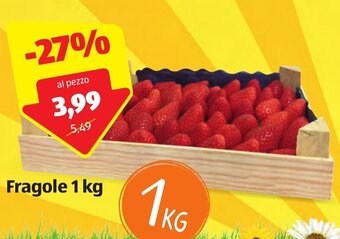 ALDI Fragole 1 kg offerta