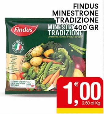Gecop Findus Minestrone Tradizione 400 gr offerta