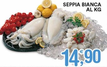 Seppia Bianca Al Kg