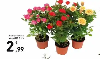 Spazio Conad Rose Fiorite offerta