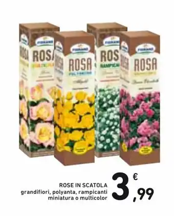 Spazio Conad Rose in Scatola offerta