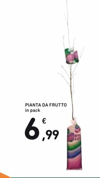 Pianta da Frutto in pack