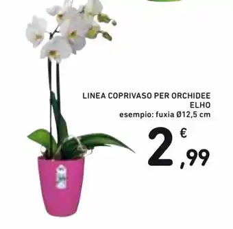 Linea Coprivaso per Orchidee Elho