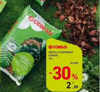Conad Argilla Espansa 10l