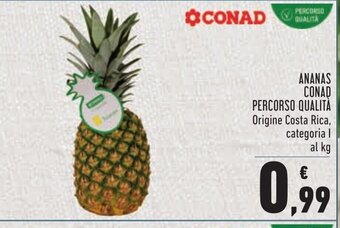 Conad Conad Ananas Percorso Qualità offerta