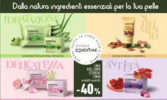 Conad Conad Essentiae Linea Viso, Corpo offerta