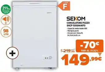 Expert Sekom Congelatore Pozzo SHCP-100SH4WF0 offerta