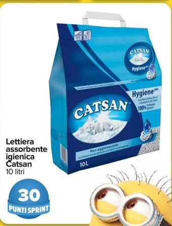 Carrefour Catsan Lettiera assorbente igienica 10 litri offerta