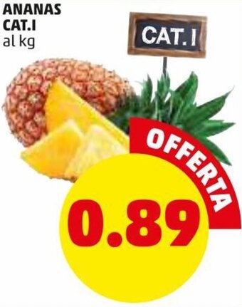 PENNY Ananas Cat.I offerta