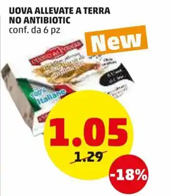 PENNY Uova Allevate a Terra No Antibiotic 6pz offerta