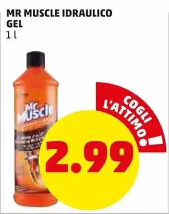 PENNY Mr Muscle Idraulico Gel 1l offerta