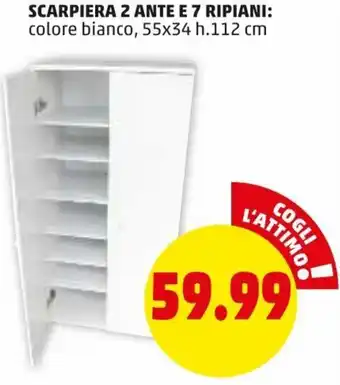 PENNY Scarpiera 2 Ante e 7 Ripiani 55x34 h.112 cm offerta