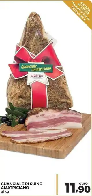 Conad Superstore Amatriciano Guanciale di Suino offerta