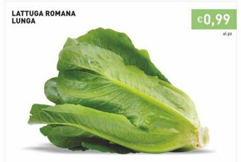 Prezzemolo e Vitale Lattuga Romana Lunga offerta