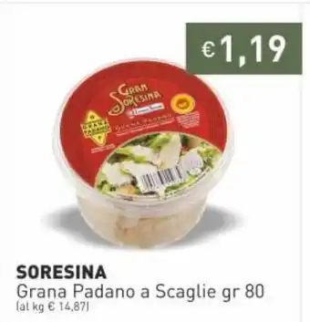 Soresina Grana Padano A Scaglie gr 80