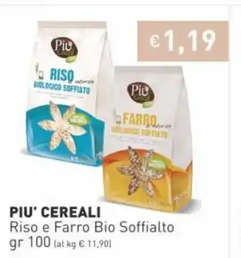 Prezzemolo e Vitale Piu' Cereali gr 100 offerta