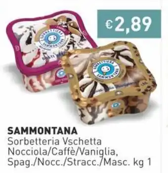 Prezzemolo e Vitale Sammontana Sorbetteria Vschetta offerta